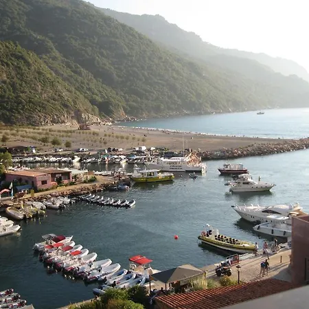 Sci Le Panorama * Ota (Corse-du-Sud)
